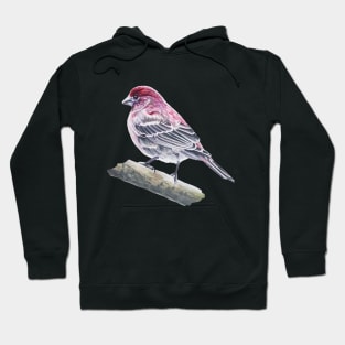 House Finch bird painting (no background) Hoodie